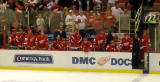 detroit red wings