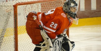ice-hockey-589385_960_720